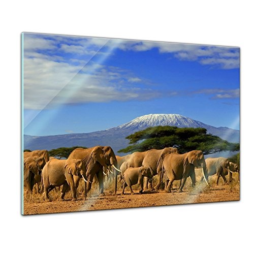 Glasbild - Elefanten am Kilimandscharo - 80 x 60 cm - Deko Glas - Wandbild aus Glas - Bild auf Glas - Moderne Glasbilder - Glasfoto - Echtglas - kein Acryl - Handmade