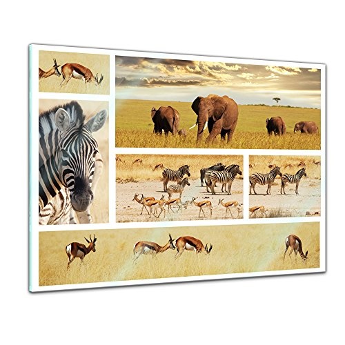 Glasbild - Safari Afrika - 80 x 60 cm - Deko Glas - Wandbild aus Glas - Bild auf Glas - Moderne Glasbilder - Glasfoto - Echtglas - kein Acryl - Handmade