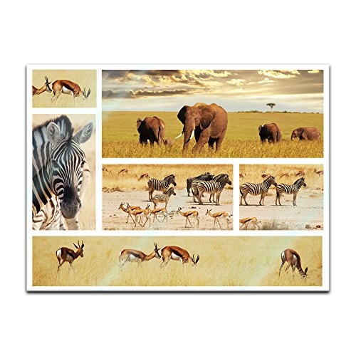Glasbild - Safari Afrika - 80 x 60 cm - Deko Glas -...