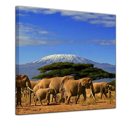 Wandbild - Elefanten am Kilimandscharo - Bild auf Leinwand - 60 x 60 cm - Leinwandbilder - Bilder als Leinwanddruck - Tierwelten - Natur - Afrika - Elefantenherde auf Wanderung