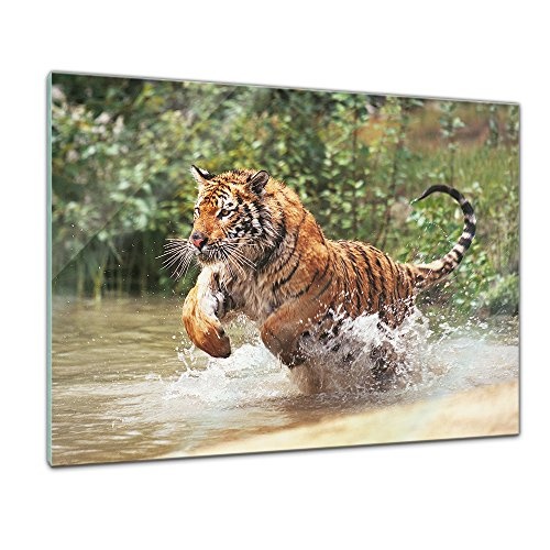 Glasbild - Tiger im Sprung - 80x60 cm - Deko Glas -...