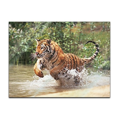 Glasbild - Tiger im Sprung - 80x60 cm - Deko Glas -...