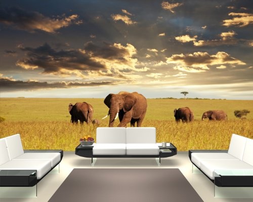 Fototapete selbstklebend Elefanten - 155x100 cm - Wandposter Tapete Motivtapete - Tier Tierwelt Natur Tierbild Herde
