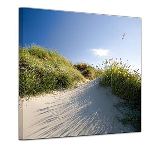 Wandbild Dünengräser - Bild auf Leinwand - 60x60 cm Leinwandbilder Urlaub, Sonne & Meer Nordsee Dünen mit Strandgräsern - Idylle - Erholung