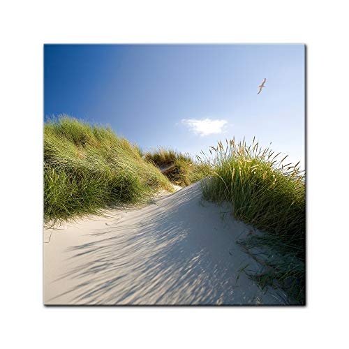 Wandbild Dünengräser - Bild auf Leinwand - 60x60 cm Leinwandbilder Urlaub, Sonne & Meer Nordsee Dünen mit Strandgräsern - Idylle - Erholung