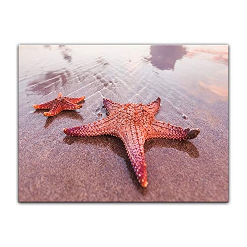 Wandbild Seestern am Strand - 70x50 cm Leinwandbild Bilder als Leinwanddruck Fotoleinwand Urlaub, Sonne & Meer Strand - Idylle - Erholung
