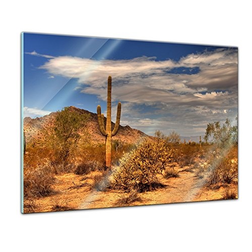 Glasbild - Wüste Kaktus - 80 x 60 cm - Deko Glas - Wandbild aus Glas - Bild auf Glas - Moderne Glasbilder - Glasfoto - Echtglas - kein Acryl - Handmade