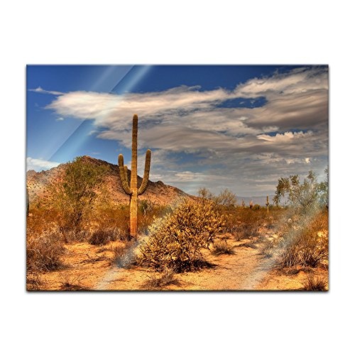 Glasbild - Wüste Kaktus - 80 x 60 cm - Deko Glas - Wandbild aus Glas - Bild auf Glas - Moderne Glasbilder - Glasfoto - Echtglas - kein Acryl - Handmade