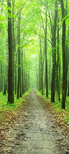 Türtapete selbstklebend Waldweg 90 x 200 cm - einteilig Türaufkleber Türfolie Türposter - Wald Weg Forst Lichtung Baum Blätter Wanderweg Natur Landschaft Pflanzen