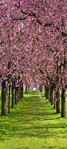 Türtapete selbstklebend Kirschblütenbaum 90 x 200 cm - einteilig Türaufkleber Türfolie Türposter - Japan Frühling Blume Baum Kirsche Blüte Natur