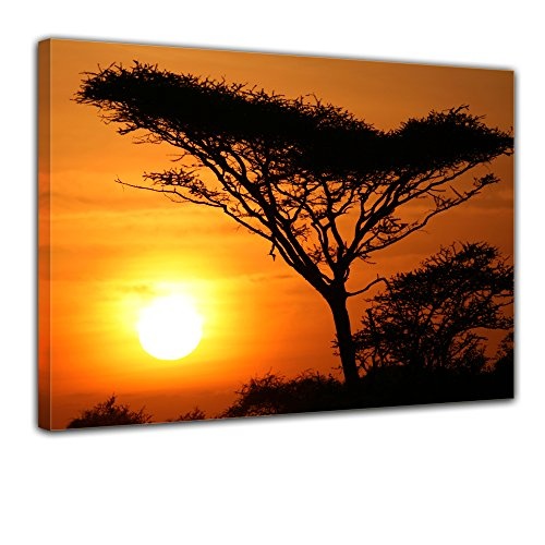 Wandbild - Akazienbaum im Sonnenuntergang, Tanzania Serengeti Afrika - Bild auf Leinwand - 80x60 cm - Leinwandbilder - Landschaften - Savanne - Silhouette - Tropen - tropisch