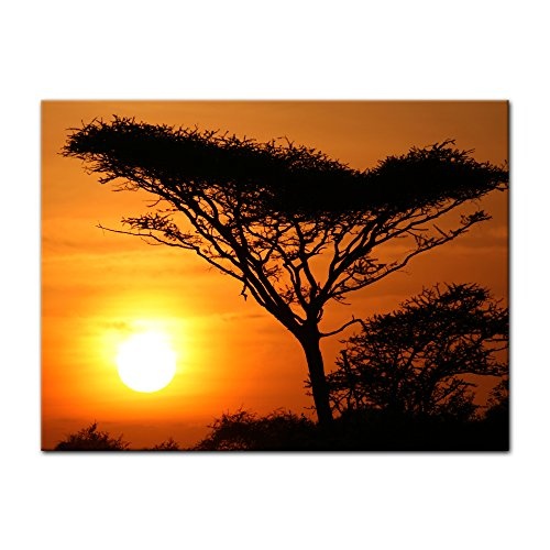 Wandbild - Akazienbaum im Sonnenuntergang, Tanzania Serengeti Afrika - Bild auf Leinwand - 80x60 cm - Leinwandbilder - Landschaften - Savanne - Silhouette - Tropen - tropisch