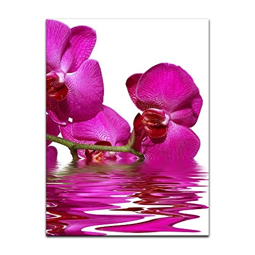Wandbild - Orchidee II - Bild auf Leinwand - 50 x 60 cm - Leinwandbilder - Bilder als Leinwanddruck - Pflanzen & Blumen - Natur - Violette Orchideenpflanze