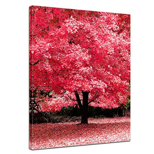 Wandbild - Herbst Abstrakt - Bild auf Leinwand - 50 x 60 cm - Leinwandbilder - Bilder als Leinwanddruck - Pflanzen & Blumen - Natur - rötlicher Blätterwald