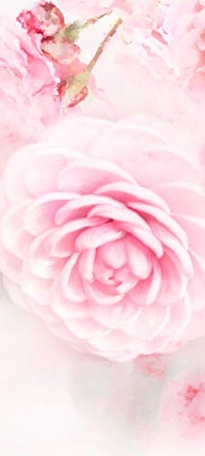 Türtapete selbstklebend rosa Rosen 90 x 200 cm - einteilig Türaufkleber Türfolie Türposter - Wasserfarbe Aquarell Pflanze Blume Blüte Dornen Liebe Duft Garten Blatt