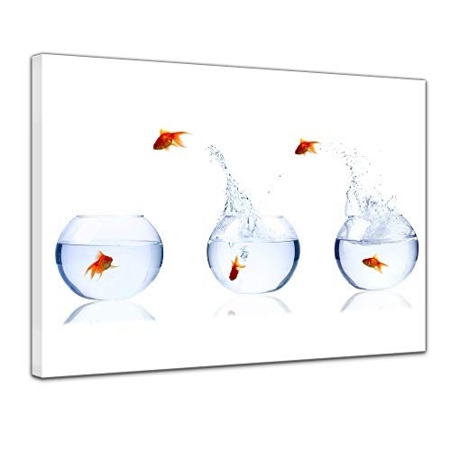 Wandbild - Fischolympiade - Bild auf Leinwand - 60 x 50 cm - Leinwandbilder - Bilder als Leinwanddruck - Tierwelten - Goldfische im Glas