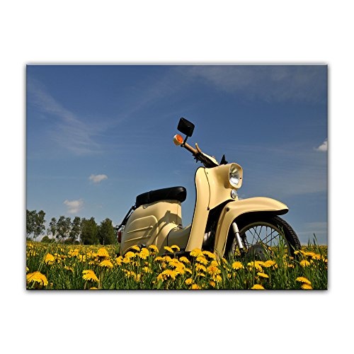 Wandbild - Vespa - Schwalbe - Bild auf Leinwand 80 x 60 cm - Leinwandbilder - Bilder als Leinwanddruck - Motorisiert - Moped - Motorroller auf Einer Wiese