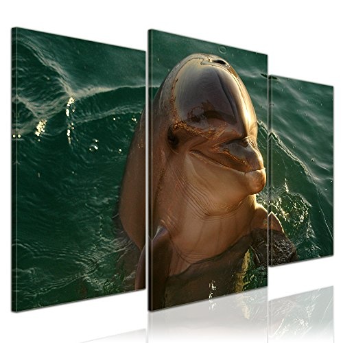 Wandbild - Delphin - Bild auf Leinwand - 100x60 cm 3 teilig - Leinwandbilder - Bilder als Leinwanddruck - Tierwelten - Leben im Meer - Kleiner Delfin