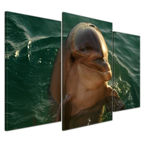 Wandbild - Delphin - Bild auf Leinwand - 100x60 cm 3 teilig - Leinwandbilder - Bilder als Leinwanddruck - Tierwelten - Leben im Meer - Kleiner Delfin