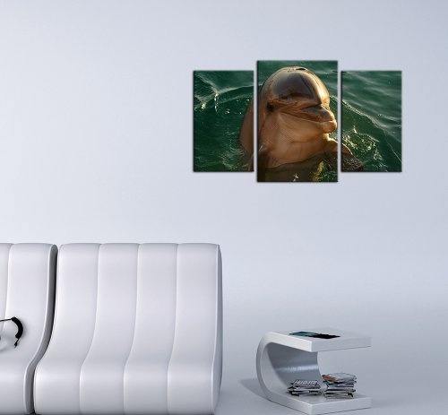 Wandbild - Delphin - Bild auf Leinwand - 100x60 cm 3 teilig - Leinwandbilder - Bilder als Leinwanddruck - Tierwelten - Leben im Meer - Kleiner Delfin