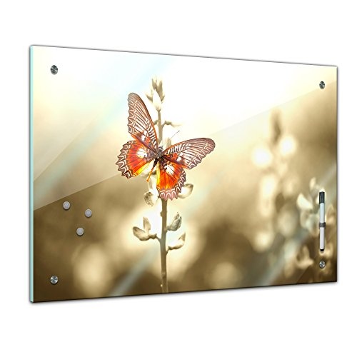 Memoboard 60 x 40 cm, Tiere - Schmetterling auf Einem...
