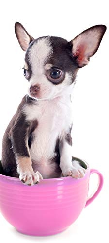Bilderdepot24 Türtapete selbstklebend Tierwelpen in Teetassen Chihuahua 90 x 200 cm - einteilig Türaufkleber Türfolie Türposter - Hunderasse Tierbaby Welpe klein niedlich Haustier Hund
