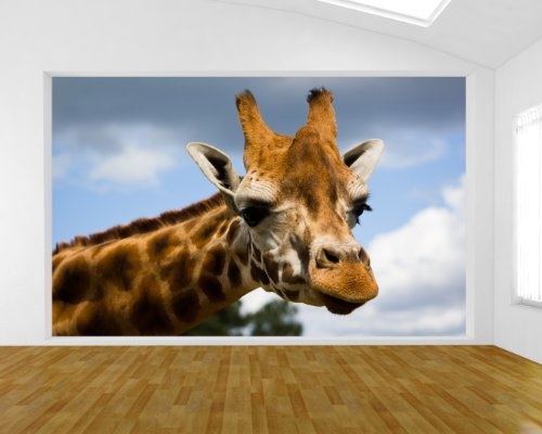 Bilderdepot24 Vlies Fototapete - Giraffe - 310x200 cm - mit Kleister - Poster - Foto auf Tapete - Wandbild - Wandtapete - Vliestapete