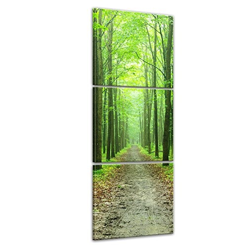 Wandbild - Waldweg - Bild auf Leinwand - 60x180 cm dreiteilig - Leinwandbilder - Landschaften - grüner Wald - Ausflug - wandern - Spaziergang