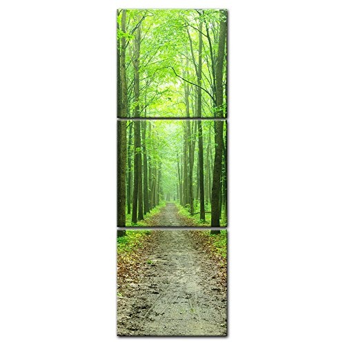 Wandbild - Waldweg - Bild auf Leinwand - 60x180 cm dreiteilig - Leinwandbilder - Landschaften - grüner Wald - Ausflug - wandern - Spaziergang