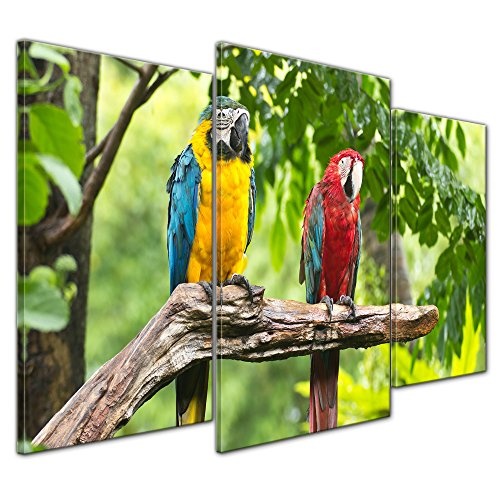Wandbild - Macaw Papageien - Bild auf Leinwand - 100x60 cm dreiteilig - Leinwandbilder - Tierwelten - Tropen - Sittich - Bunte Vögel auf Einem AST