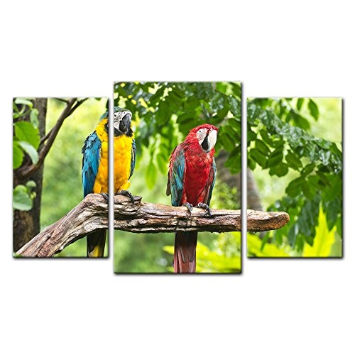 Wandbild - Macaw Papageien - Bild auf Leinwand - 100x60 cm dreiteilig - Leinwandbilder - Tierwelten - Tropen - Sittich - Bunte Vögel auf Einem AST