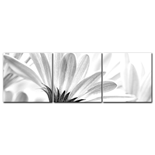 Wandbild - Blume - schwarz Weiss - Bild auf Leinwand - 180x60 cm dreiteilig - Leinwandbilder - Pflanzen & Blumen - Blüte Einer Margerite