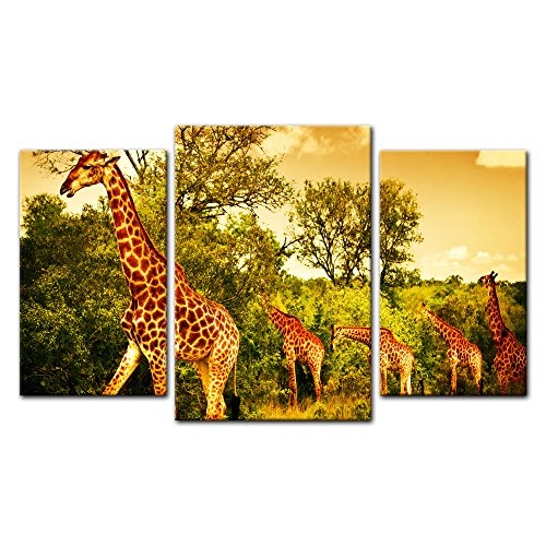 Wandbild - Giraffen - Südafrika - Bild auf Leinwand - 100x60 cm dreiteilig - Leinwandbilder - Tierwelten - Afrika - Giraffenherde am Wegesrand