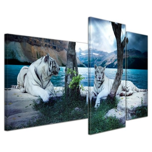 Wandbild - Tiger II - Bild auf Leinwand - 130x80 cm 3 teilig - Leinwandbilder - Bilder als Leinwanddruck - Tierwelten - Wildtiere - Grosskatzen - Zwei weiße Tiger