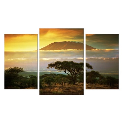 Wandbild - Kilimandscharo mit Savanne in Kenya - Afrika - Bild auf Leinwand - 100x60 cm 3 teilig - Leinwandbilder - Landschaften - Tansania - Nationalpark - Sonnenuntergang