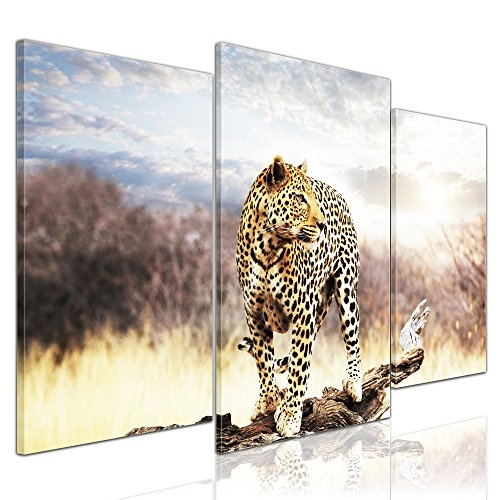 Wandbild - Leopard - Bild auf Leinwand - 100x60 cm 3...