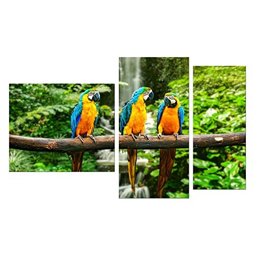 Wandbild - Blau-Gelber Papagei - Bild auf Leinwand - 130x80 cm 3 teilig - Leinwandbilder - Tierwelten - Südamerika - Ara - Gelbbrustara - tropisch