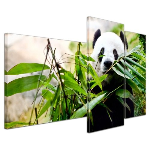 Wandbild - Pandabär - Bild auf Leinwand - 130x80 cm...