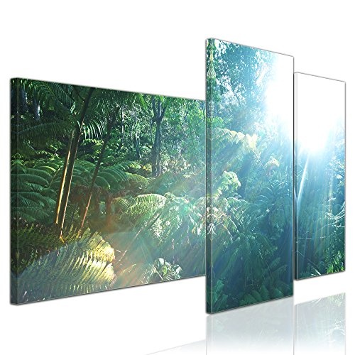 Wandbild - Regenwald in Hawaii - Bild auf Leinwand - 130x80 cm 3 teilig - Leinwandbilder - Bilder als Leinwanddruck - Landschaften - Urwald auf Hawai - Kauai