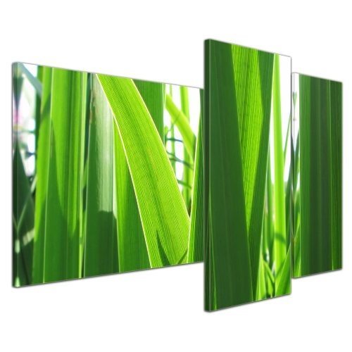 Wandbild - Gras - Bild auf Leinwand - 130x80 cm 3 teilig - Leinwandbilder - Bilder als Leinwanddruck - Pflanzen & Blumen - Grashalme im Sonnenlicht