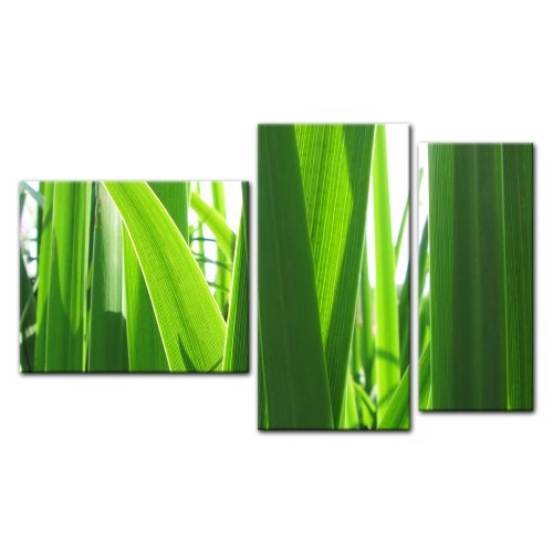 Wandbild - Gras - Bild auf Leinwand - 130x80 cm 3 teilig - Leinwandbilder - Bilder als Leinwanddruck - Pflanzen & Blumen - Grashalme im Sonnenlicht