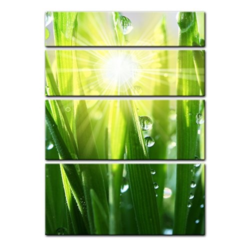 Keilrahmenbild - Gras II - Bild auf Leinwand - 120x180 cm vierteilig - Leinwandbilder - Pflanzen & Blumen - Grashalme mit Wassertropfen in der Sonne
