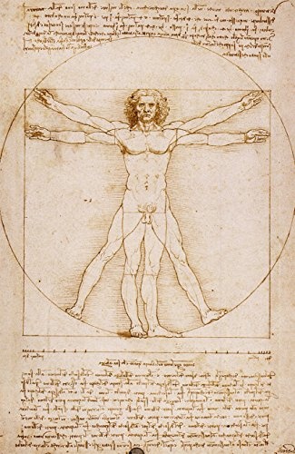 Bilderdepot24 Vlies Fototapete Leonardo da Vinci - Alte Meister - Vitruvianischer Mensch - 65x100 cm - mit Kleister - Poster - Foto auf Tapete - Wandbild - Wandtapete - Vliestapete