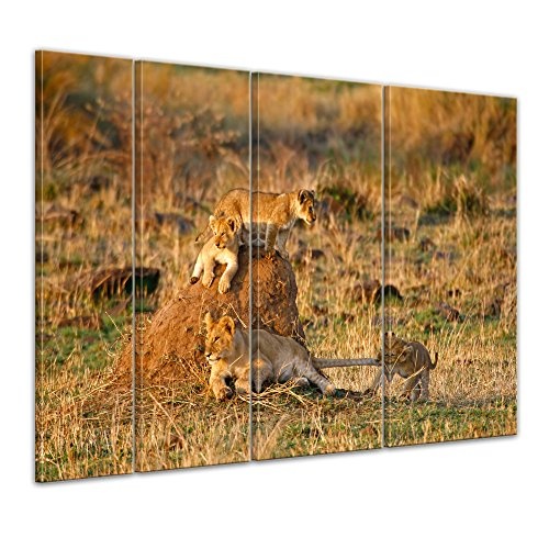 Keilrahmenbild - Löwenkinder - Bild auf Leinwand - 180 x 120 cm 4tlg - Leinwandbilder - Bilder als Leinwanddruck - Tierwelten - Wildtiere - Afrika - Löwenjunge beim Spielen