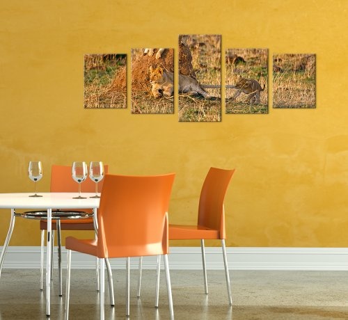 Wandbild - Löwenkinder - Bild auf Leinwand - 200x80 cm 5 teilig - Leinwandbilder - Bilder als Leinwanddruck - Tierwelten - Wildtiere - Afrika - Löwenjunge beim Spielen