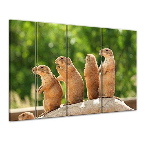 Keilrahmenbild Präriehunde auf Einem Felsen - 180x120 cm Bilder als Leinwanddruck Fotoleinwand Tierbild Nager - Natur eine Gruppe Präriehunde