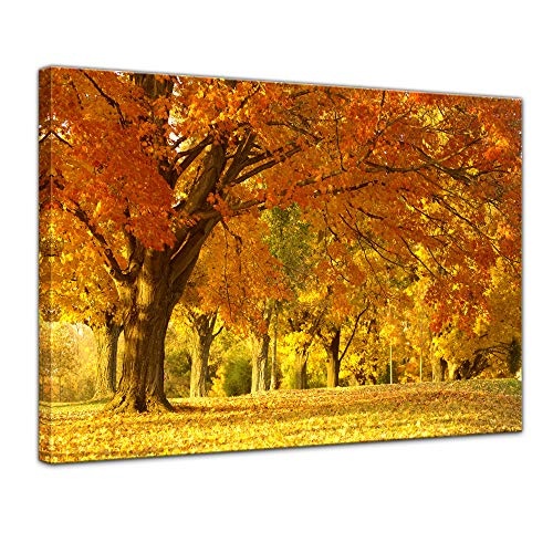 Wandbild - Herbst Szene - Bild auf Leinwand - 40 x 30 cm - Leinwandbilder - Bilder als Leinwanddruck - Pflanzen & Blumen - Natur - goldgelber Blätterwald