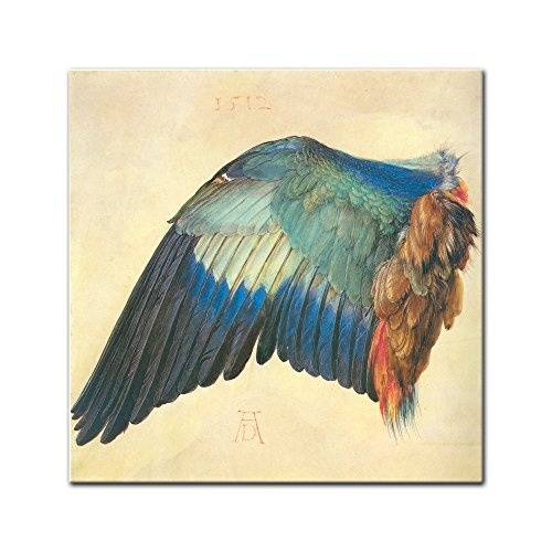 Wandbild Albrecht Dürer Flügel Einer Blaurake - 40x40cm Quadrat - Alte Meister Berühmte Gemälde Leinwandbild Kunstdruck Bild auf Leinwand