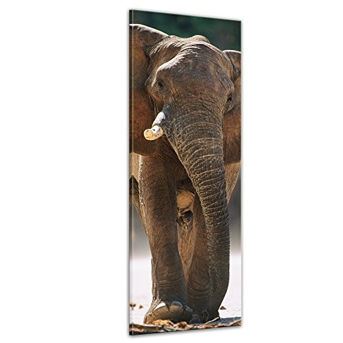 Wandbild Elefantenbulle - 30x90 cm Bilder als Leinwanddruck Fotoleinwand Tierbild Dickhäuter - Nahansicht eines ausgewachsenen Elefantenbullens