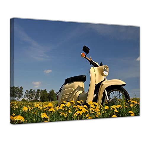 Wandbild - Vespa - Schwalbe - Bild auf Leinwand 70 x 50 cm - Leinwandbilder - Bilder als Leinwanddruck - Motorisiert - Moped - Motorroller auf Einer Wiese